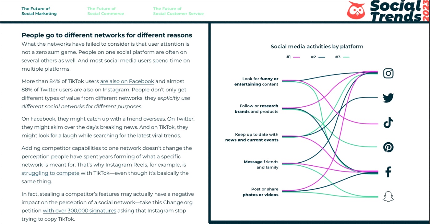 social trend